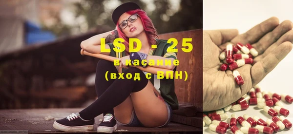 ГАЛЛЮЦИНОГЕННЫЕ ГРИБЫ Богданович