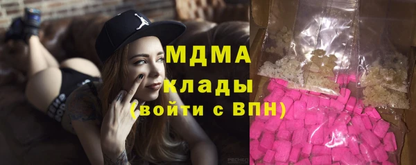 ГАЛЛЮЦИНОГЕННЫЕ ГРИБЫ Богданович