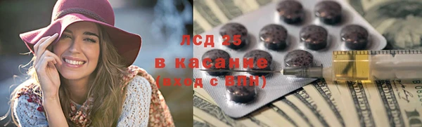 ГАЛЛЮЦИНОГЕННЫЕ ГРИБЫ Богданович