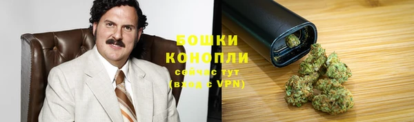 молекула духа Белокуриха