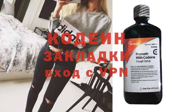 ГАЛЛЮЦИНОГЕННЫЕ ГРИБЫ Богданович