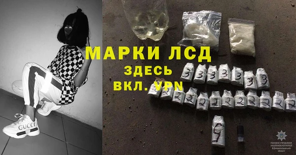 ГАЛЛЮЦИНОГЕННЫЕ ГРИБЫ Богданович