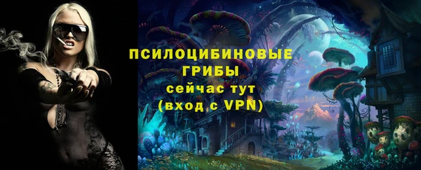 кристаллы Богородицк