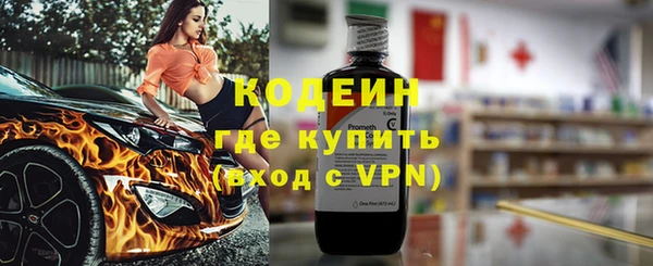 ГАЛЛЮЦИНОГЕННЫЕ ГРИБЫ Богданович