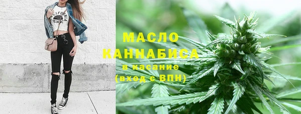 ГАЛЛЮЦИНОГЕННЫЕ ГРИБЫ Богданович